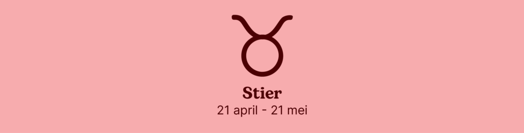 Stier